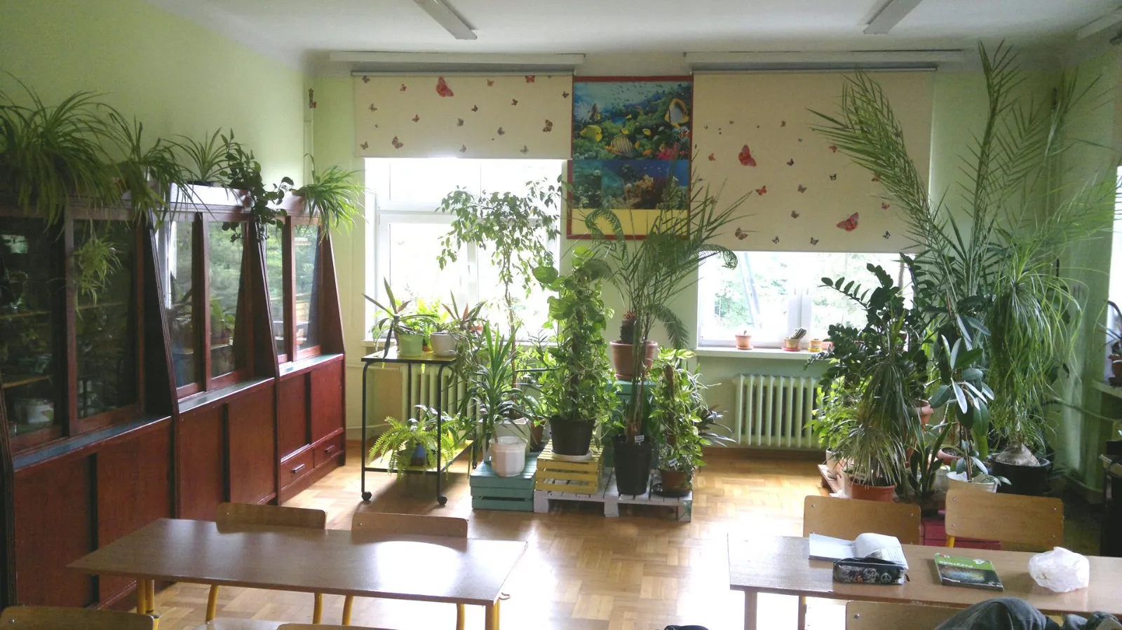 Pracownia przyrodnicza